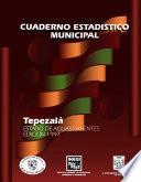 Tepezalá Estado De Aguascalientes. Cuaderno Estadístico Municipal 1997