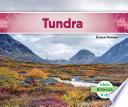 Tundra (tundra Biome)