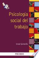 libro Psicología Social Del Trabajo