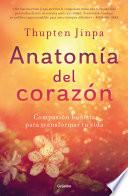 Anatomía Del Corazón
