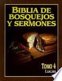 libro Biblia De Bosquejos De Sermones