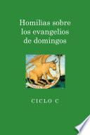 Homilias Sobre Los Evangelios De Domingos