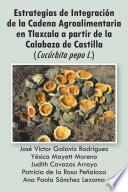 libro Estrategias De Integración De La Cadena Agroalimentaria En Tlaxcala A Partir De La Calabaza De Castilla (cucúrbita Pepo L.)